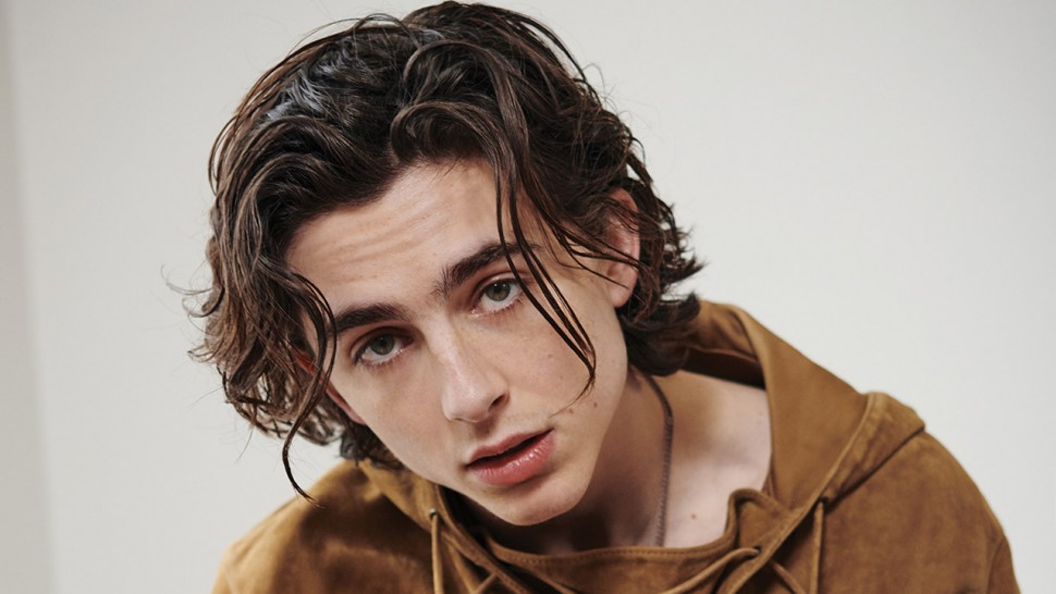 Sensação em 2018, Timothée Chalamet já está cotado para o Oscar 2019 Ti Sensação em 2018, Timothée Chalamet já está cotado para o Oscar 2019
