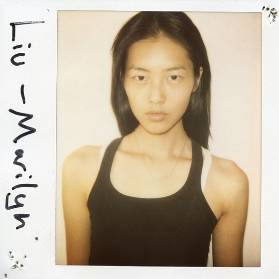 Liu Wen by COACD