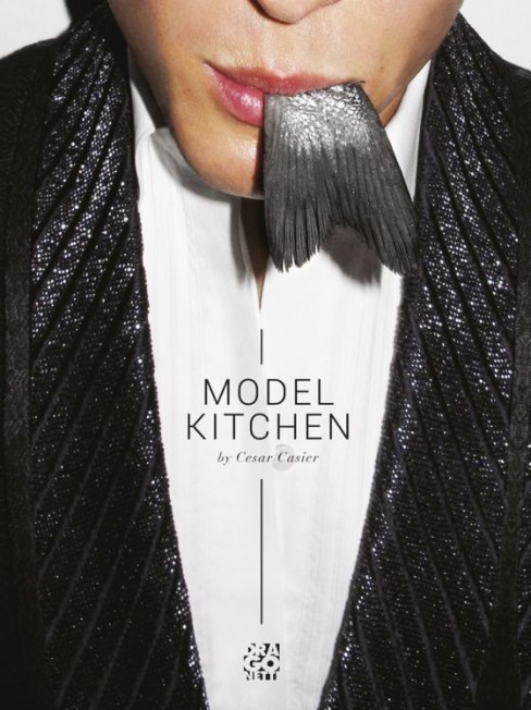 Model Kitchen Book