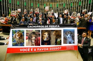 11012894_765179510265675_2650913916242458130_n