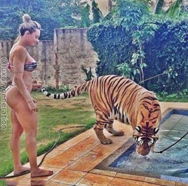 the_filthy_rich_like_to_flaunt_pictures_of_their_exotic_pets_online_640_14