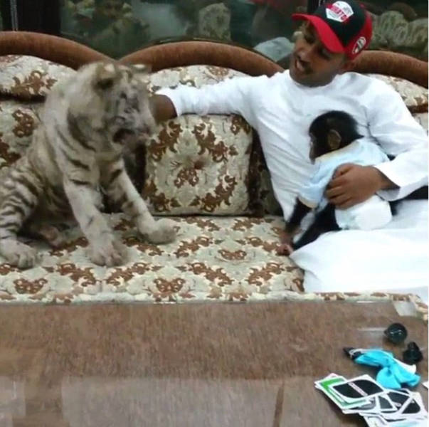 the_filthy_rich_like_to_flaunt_pictures_of_their_exotic_pets_online_640_16