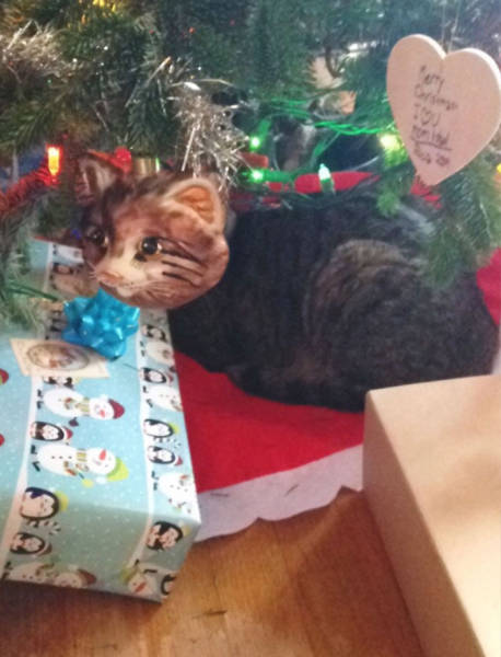 perfectly_satisfying_moments_of_completeness_in_our_world_640_31