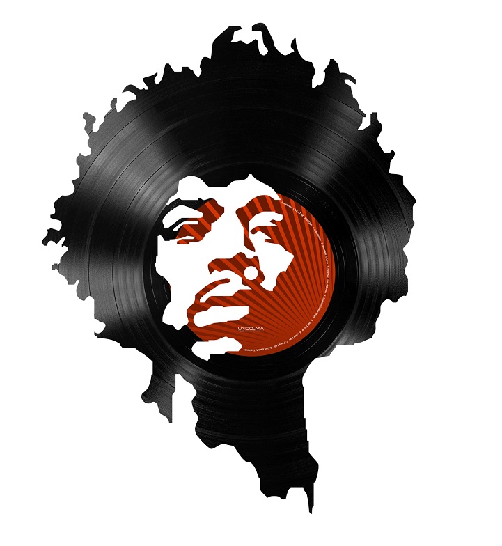 vinil3